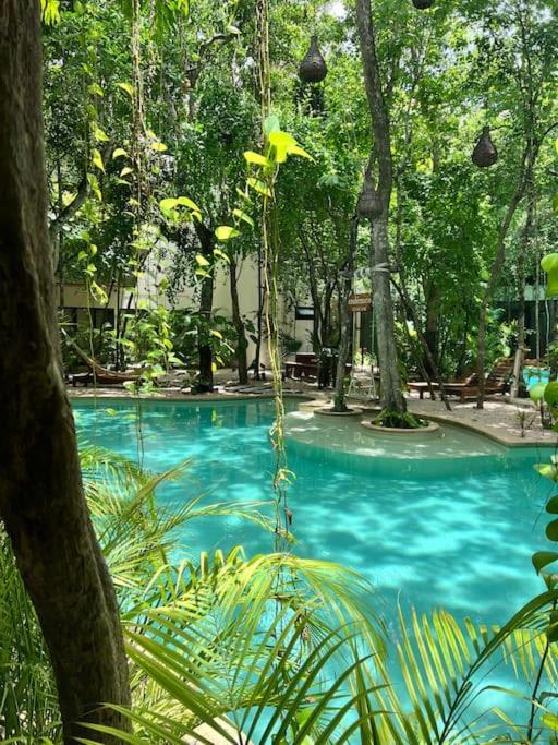 Appartement Jungle View 2bed 2bath Condo/ Wi-fi/ Pool/ Gym